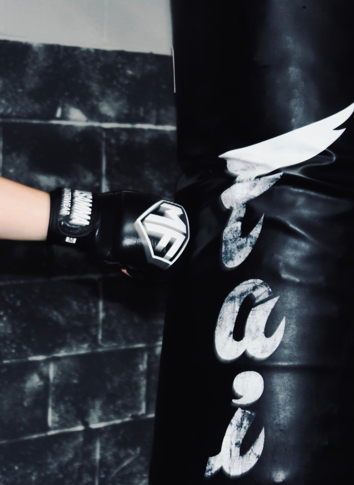 MMA Training Gloves